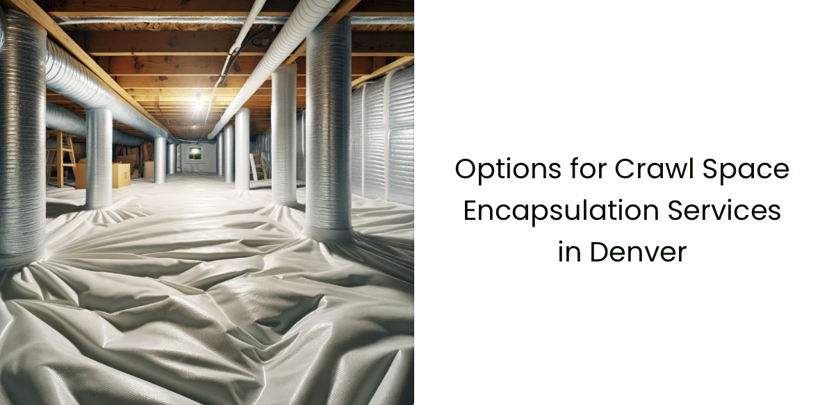 Crawl Space Encapsulation In Denver